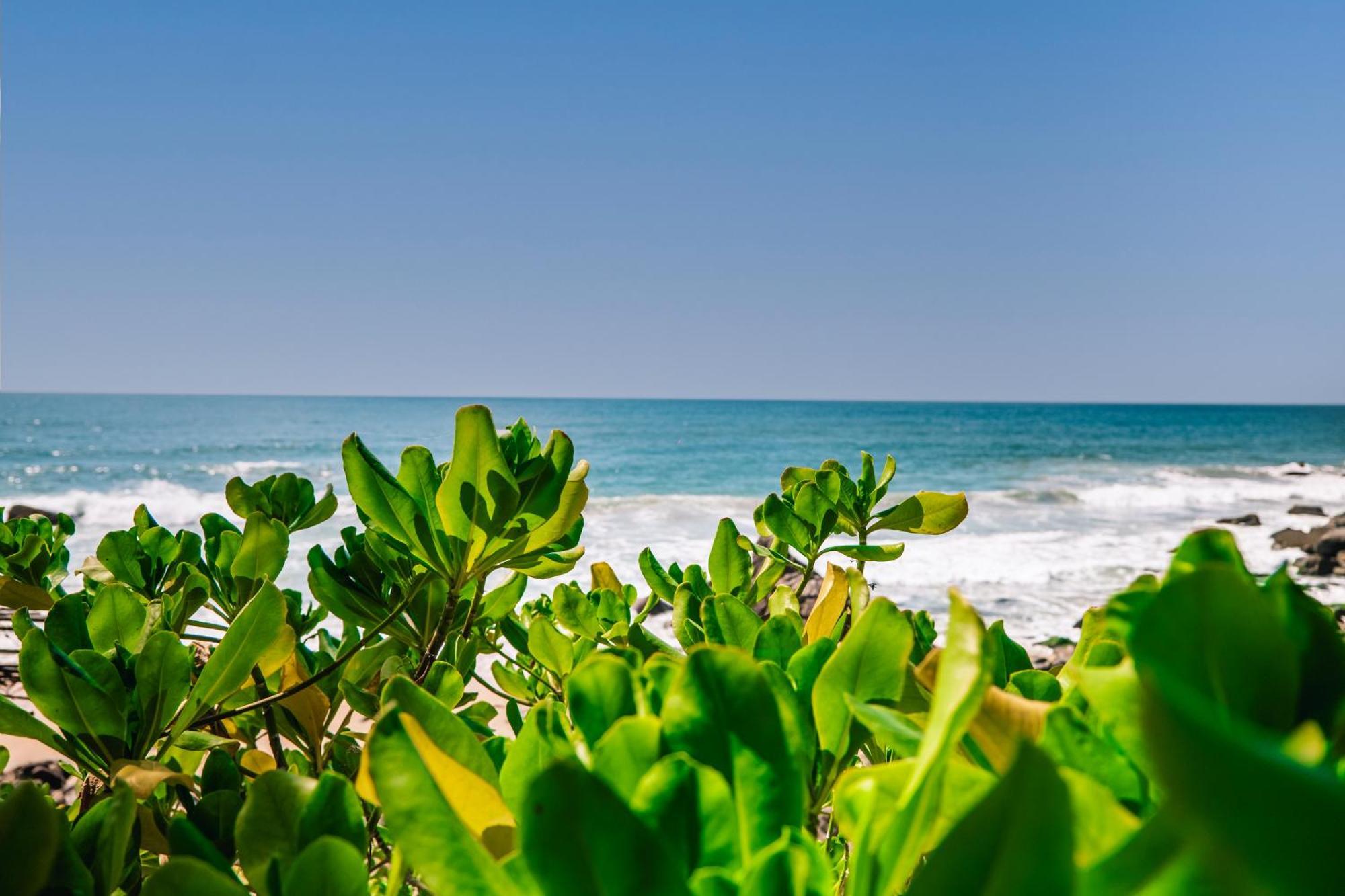 Hotel Haramara Retreat à Sayulita Extérieur photo
